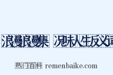 浪漫浪漫集·况味人生反义词是什么意思的图片
